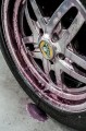 DSC02448.jpg